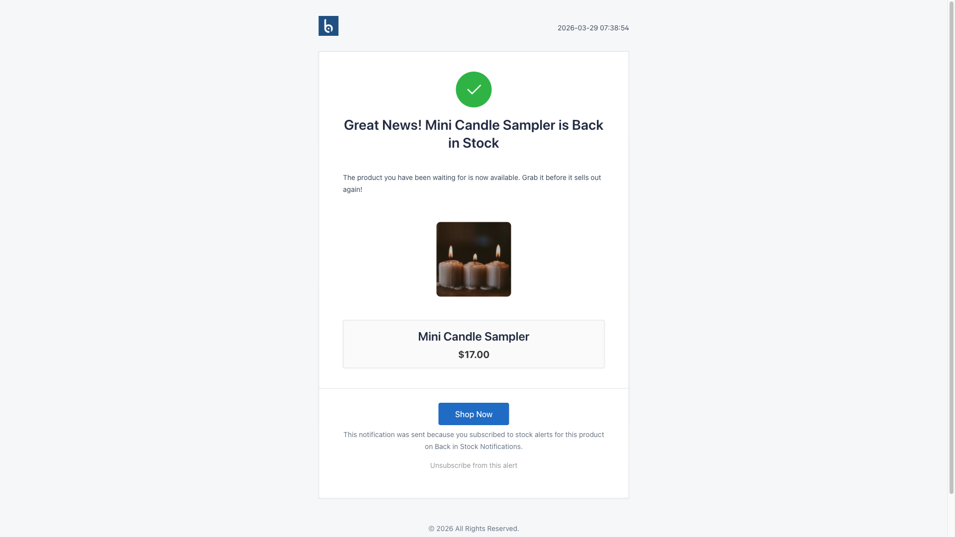 Back in Stock Email Preview